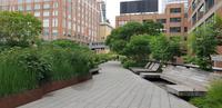 New York - Spaziergang im Highline Park