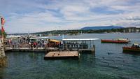 Bootshafen Genf