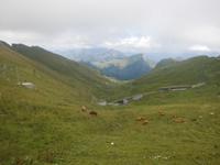 Fahrt zum Rochers de Naye Von Montreux