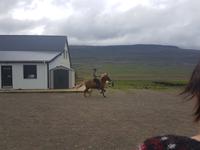 Pferdehof bei Varmalid