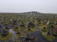 Auf der Ringstraße 1