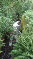 Wasserfall im Lake District