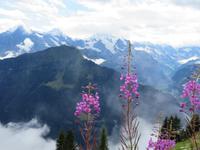 Auf der Schyniggen Platte