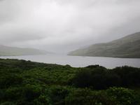 Connemara
