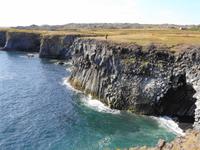Island - Halbinsel Snæfellsnes - Dreizehenmövenfelsen bei Arnarstapi