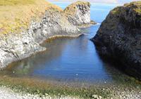 Island - Halbinsel Snæfellsnes - Küste bei Arnarstapi