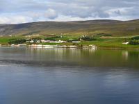 Island - Fjord Eyjafjördur - Walbeobachtungstour 