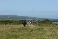 046-Inishmore
