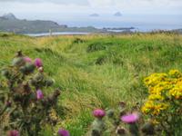 Valentia Island