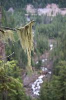 Wells Grey Provincial Park - Spahats Falls