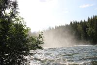 Wells Grey Provincial Park - Dawson Falls