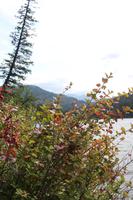 Wanderung am Tyax Resort