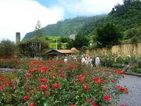 im Rosengarten Quinta de Arco