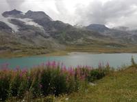 Auf dem Berninapass