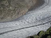 Aletsch-Gletscher vom Bettmerhorn