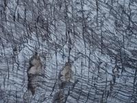 Kleines Matterhorn, Theodulgletscher