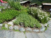 Zermatt, Ricola-Garten