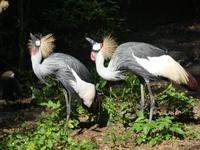 Vogelpark Walsrode