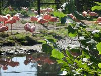 Vogelpark Walsrode