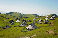 Velika Planina mit den ovalen Hütten