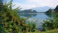 Burg Bled