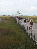 Steg zum Strand