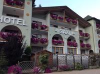 Hotel Saxl