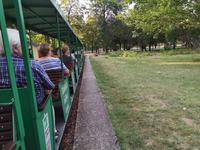 1 Tag C Prader Liliputbahn (3)