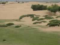 Ein wenig Grün findet sich immer