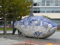 Belfast - Fisch des Wissens