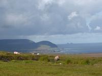 Ceidhe Fields