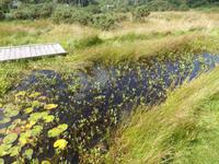Ballycroy Nationalpark