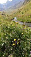 Wanderung am Tschauchi Massif