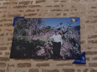 die über Hundertjährigen