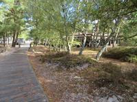 Ostsee-Kreuzfahrt mit AIDAaura - Bornholm