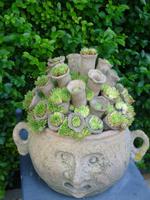 Majolika R_Manufaktur