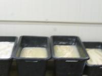 Schaffarm (Salas) Zbojska