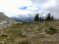 Wanderung auf Blackcomb Mt in Whistler