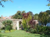 Jersey, garden