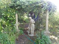 Jersey, garden