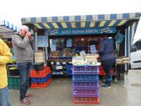 Cancale -der Austernmarkt