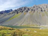 Auf dem Flüelapass