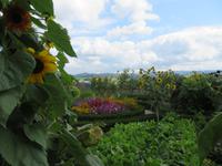 Besuch in der Emmentaler Schaukäserei