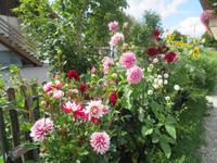 Besuch in der Emmentaler Schaukäserei