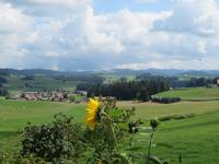 Besuch in der Emmentaler Schaukäserei