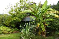 Jersey, der Garten von Mr. Miles 