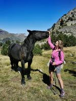 Parc Natural de Sorteny