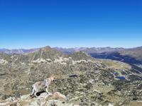 Grau Roig/ Montmalus