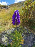 IMG_20190902_143106