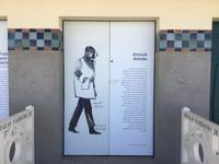 Filmstars am Strand....